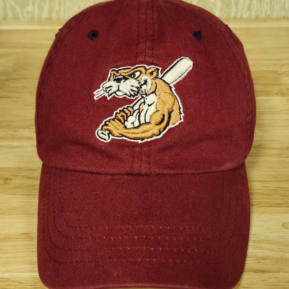 Evansville Otters 2007 RARE MiLB Adjustable Hat By Zephyr